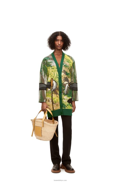 Loewe şalgam başlı yün hırka 026001029 erkekler yeşil/çok renkli