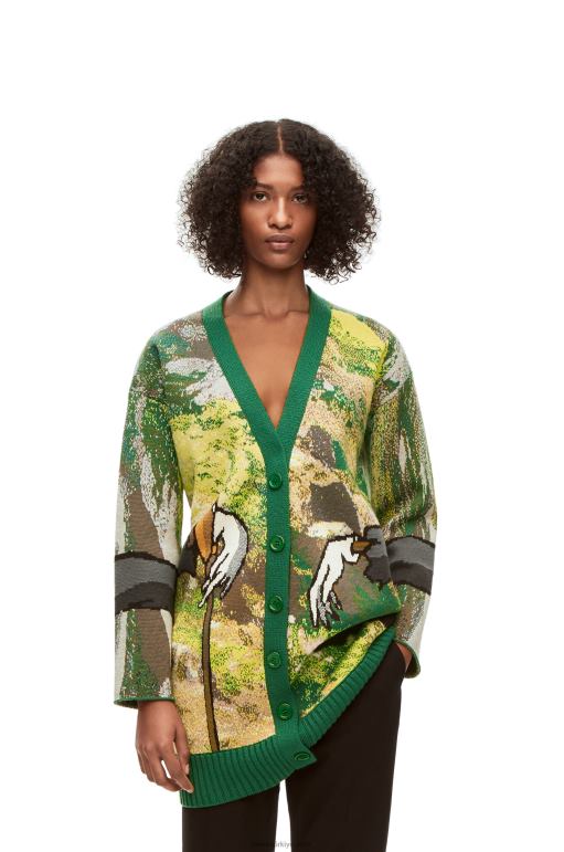 Loewe şalgam başlı yün hırka 026001029 erkekler yeşil/çok renkli