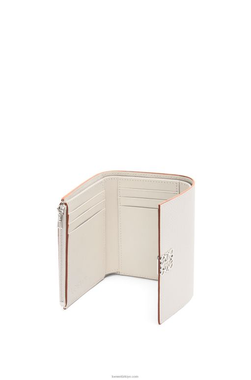 Loewe anagram çakıl taneli dana derisinden küçük dikey cüzdan 026001218 kadınlar hafif hayalet