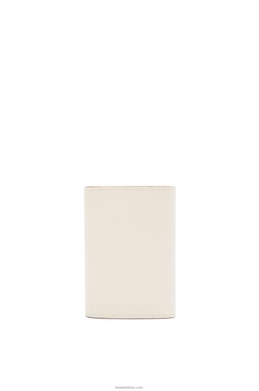 Loewe anagram çakıl taneli dana derisinden küçük dikey cüzdan 026001218 kadınlar hafif hayalet