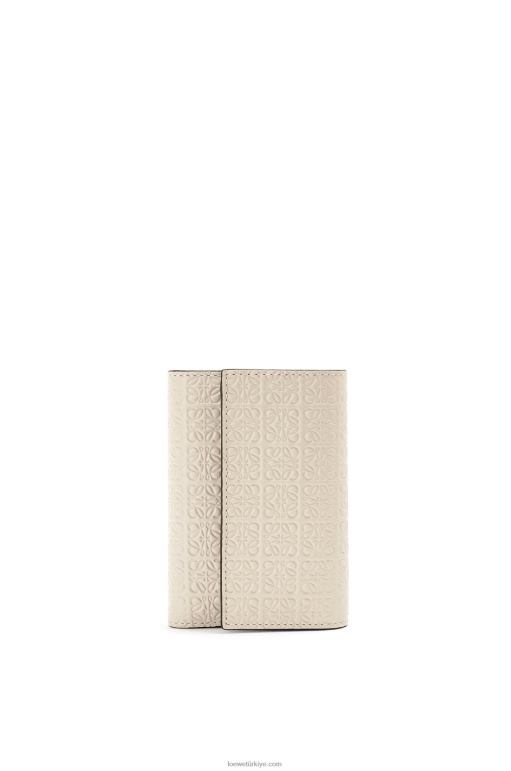 Loewe kabartmalı ipek dana derisinden tekrarlanan küçük dikey cüzdan 026001273 kadınlar hafif yulaf
