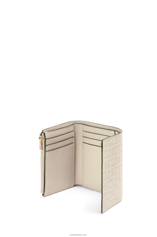 Loewe kabartmalı ipek dana derisinden tekrarlanan küçük dikey cüzdan 026001273 kadınlar hafif yulaf