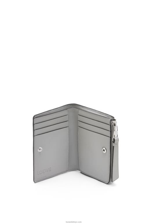 Loewe klasik buzağı bulmaca ince ikiye katlanır cüzdan 026001260 kadınlar kül grisi/açık seladonlar