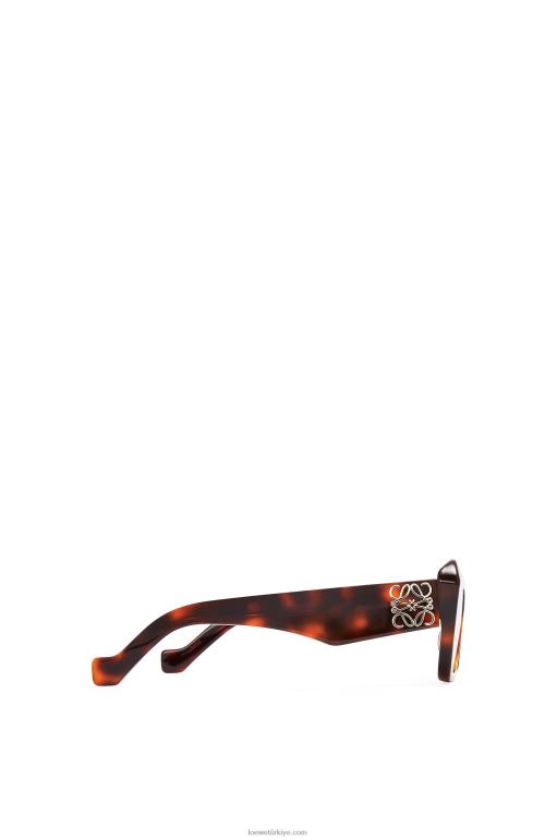 Loewe asetat cateye güneş gözlüğü 026001480 kadınlar kahverengi havana