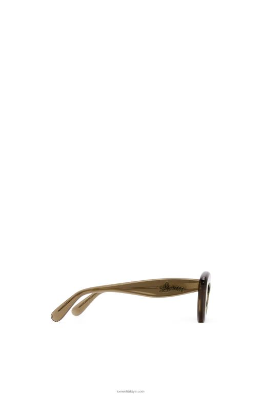 Loewe asetat cateye güneş gözlüğü 026001498 kadınlar kahverengi yeşil
