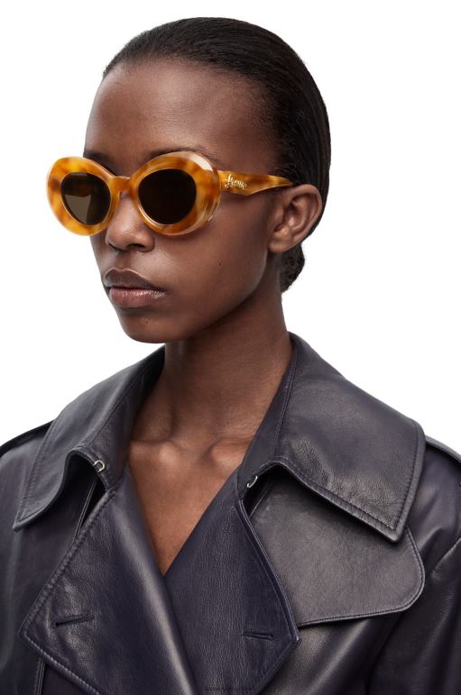 Loewe asetat güneş gözlüğü 026001433 kadınlar hafif havana