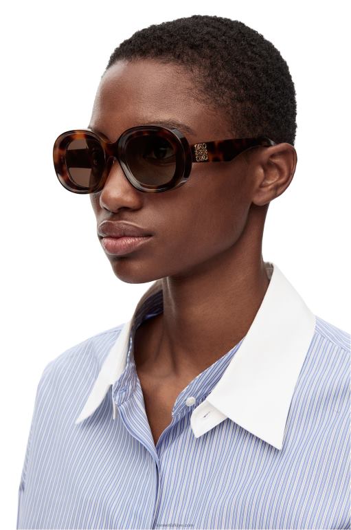 Loewe asetat oval güneş gözlüğü 026001493 kadınlar Havana