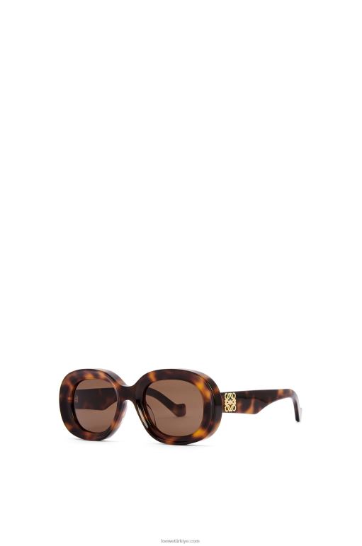Loewe asetat oval güneş gözlüğü 026001493 kadınlar Havana