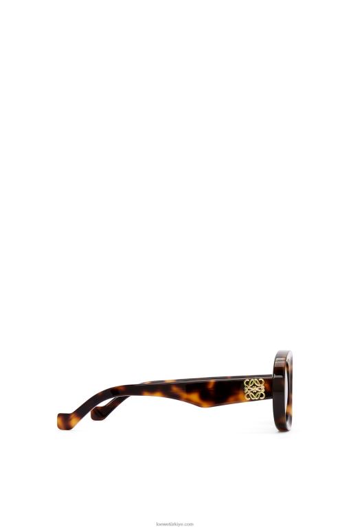 Loewe asetat oval güneş gözlüğü 026001493 kadınlar Havana