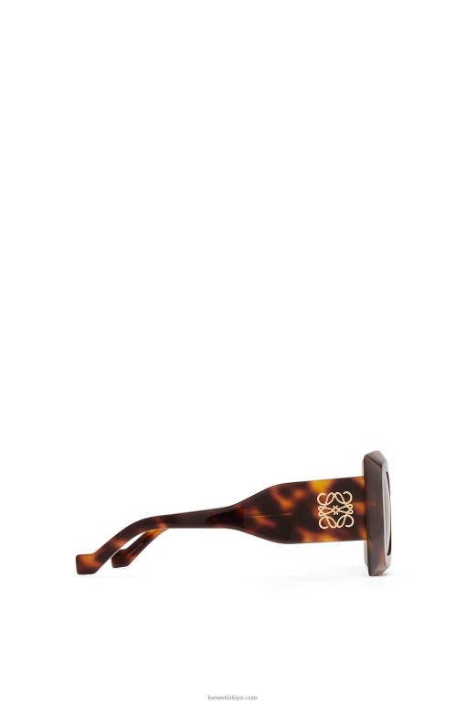 Loewe büyük boy asetat güneş gözlüğü 026001491 kadınlar Havana