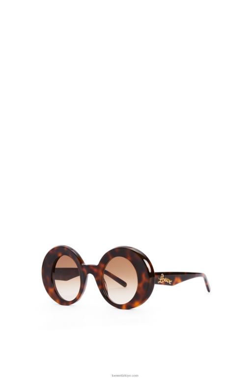 Loewe büyük boy yuvarlak asetat güneş gözlüğü 026001492 kadınlar Havana