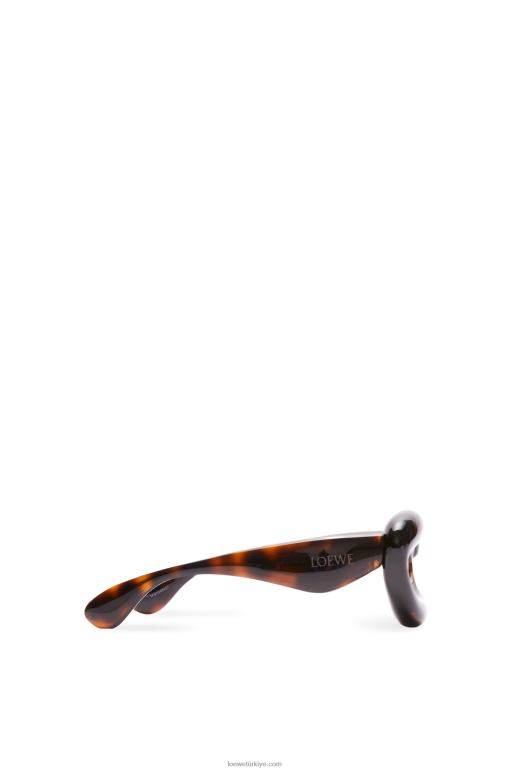 Loewe naylondan şişirilmiş cateye güneş gözlüğü 026001422 kadınlar Havana