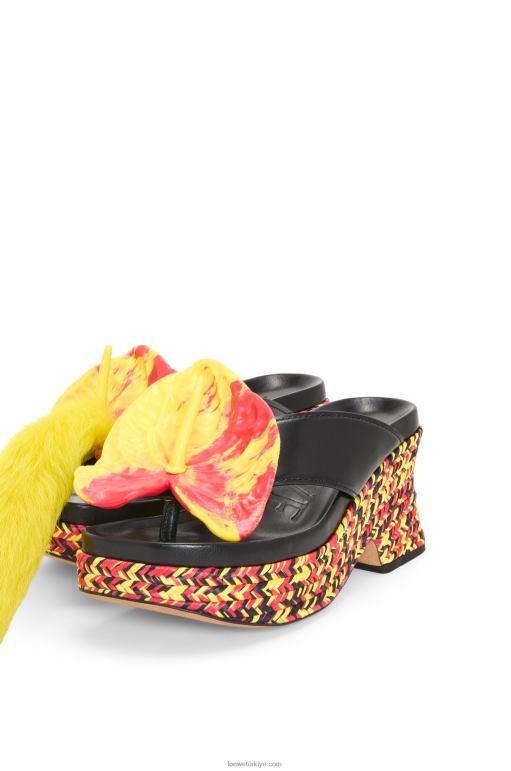 Loewe kuzu derisinden petal düz biçimli sandalet 02600688 kadınlar siyah/çok renkli