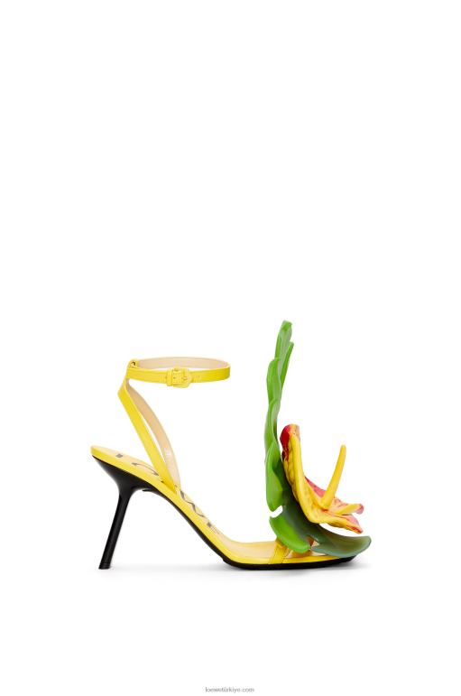 Loewe kuzu derisinden petal sandalet 02600689 kadınlar akasya sarısı