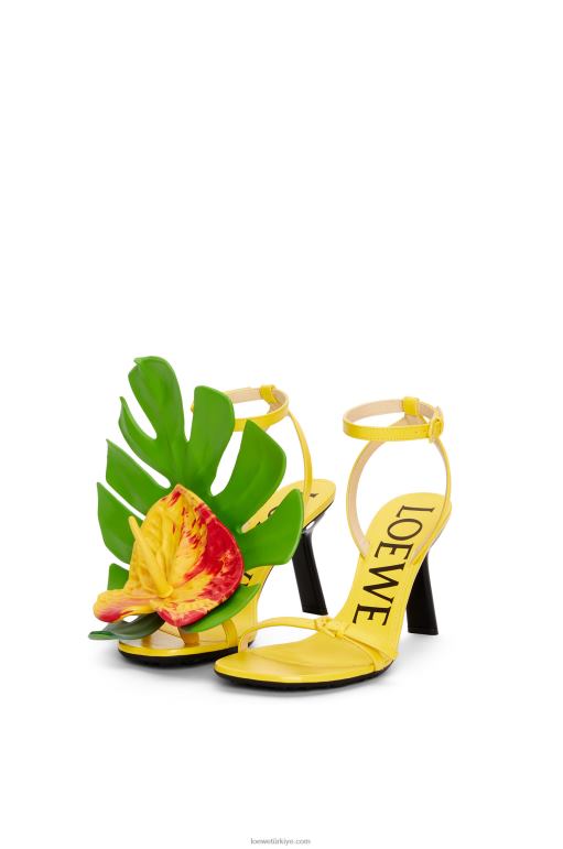 Loewe kuzu derisinden petal sandalet 02600689 kadınlar akasya sarısı