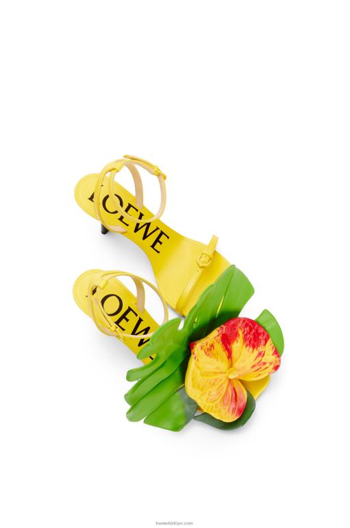 Loewe kuzu derisinden petal sandalet 02600689 kadınlar akasya sarısı