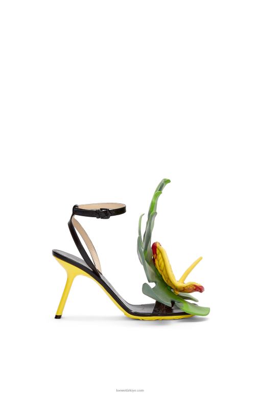 Loewe kuzu derisinden petal sandalet 02600690 kadınlar siyah