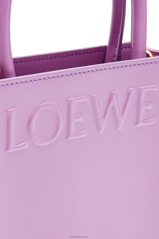 Loewe şık dana derisinden standart a5 çantası 02600190 kadınlar taklit
