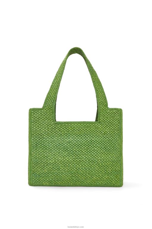 Loewe orta boy rafya çanta 0260032 kadınlar yeşil