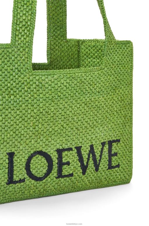 Loewe orta boy rafya çanta 0260032 kadınlar yeşil