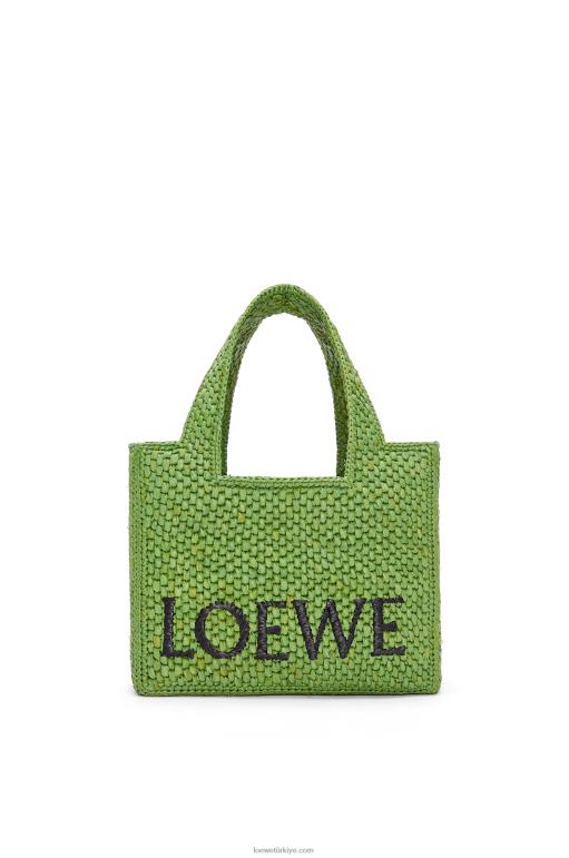 Loewe rafyadan küçük yazı tipi çanta 02600108 kadınlar yeşil