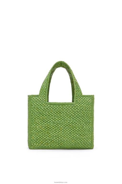 Loewe rafyadan küçük yazı tipi çanta 02600108 kadınlar yeşil