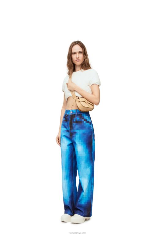 Loewe Yumuşak dana derisi ve jakarlı mini kapı ikili çanta 02600209 kadınlar tereyağı