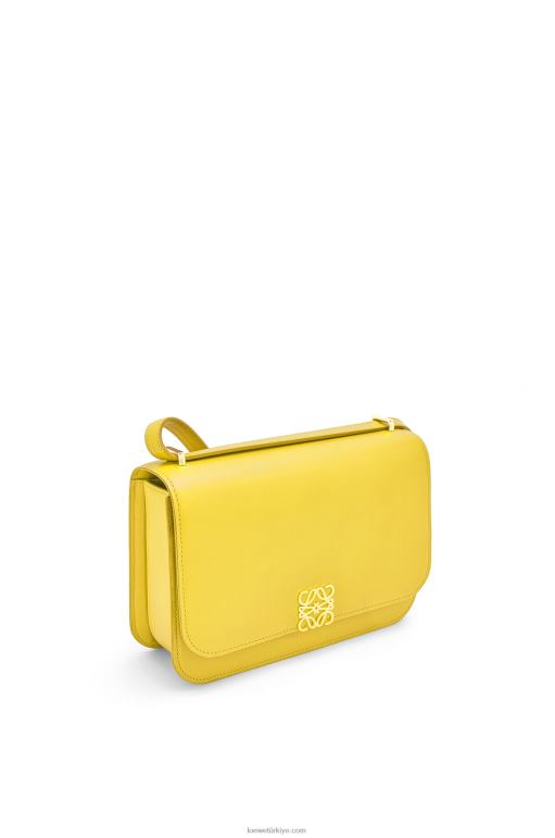 Loewe ipek dana derisinden goya çanta 02600302 kadınlar sarı