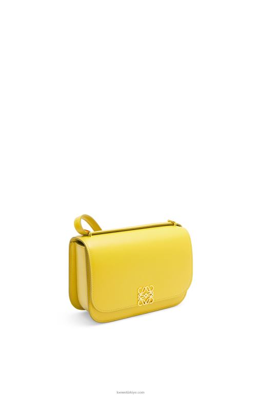 Loewe ipek dana derisinden küçük goya çantası 02600304 kadınlar sarı