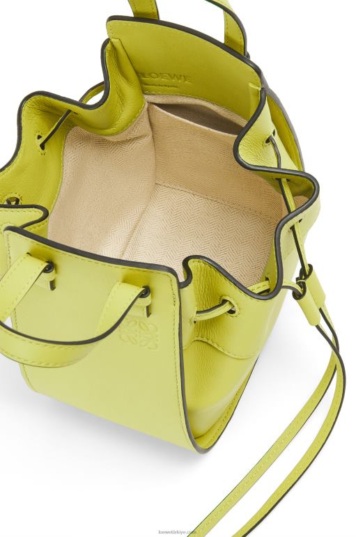 Loewe klasik dana derisinden mini hamak büzme ipi 02600297 kadınlar limon sarısı