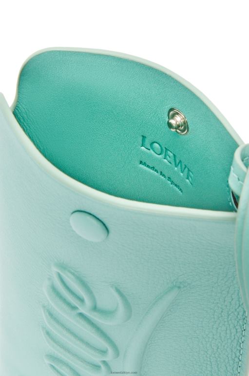 Loewe klasik dana derisinden halka kese 02600594 kadınlar taze nane
