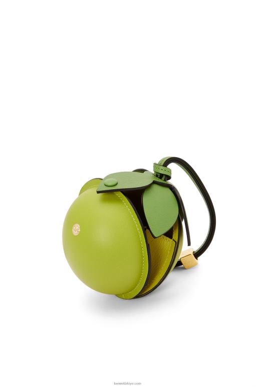 Loewe klasik dana derisinden limon kese 02600585 kadınlar çayır yeşili