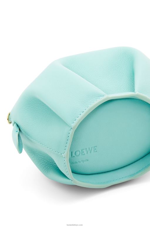Loewe klasik dana derisinden su aygırı çantası 02600392 kadınlar taze nane