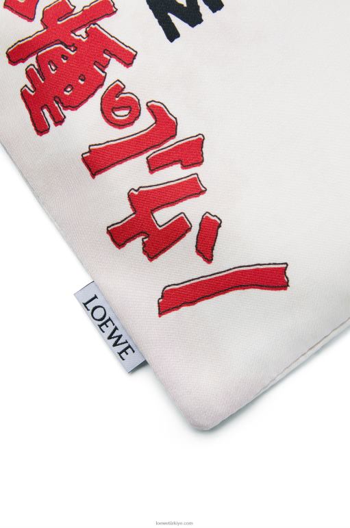 Loewe tuvalde hareketli kale ipli kese 02600631 kadınlar çok renkli