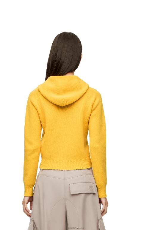 Loewe yün örme fermuarlı kapşonlu 02600804 kadınlar soluk sarı