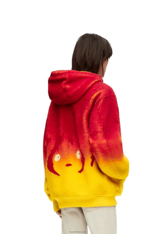Loewe yünlü calcifer kakmalı kapşonlu 02600839 kadınlar çok renkli