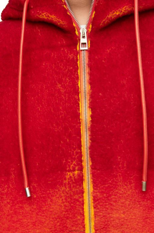 Loewe yünlü calcifer kakmalı kapşonlu 02600839 kadınlar çok renkli