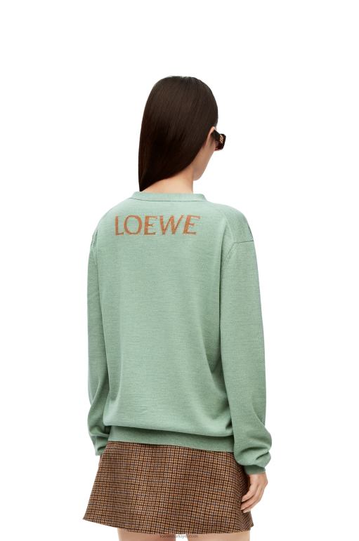 Loewe heen yün hırka 026001027 kadınlar anason yeşili