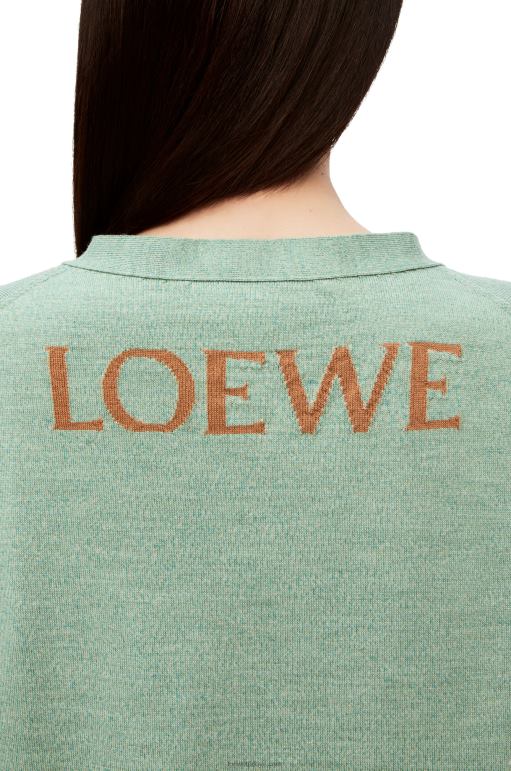 Loewe heen yün hırka 026001027 kadınlar anason yeşili