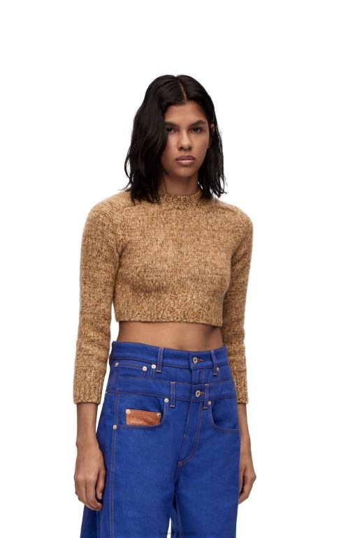 Loewe kırpılmış yün kazak 02600982 kadınlar bej melanj