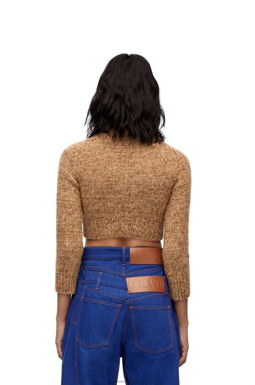 Loewe kırpılmış yün kazak 02600982 kadınlar bej melanj