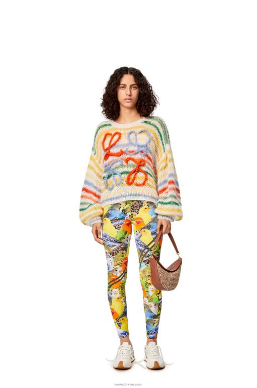 Loewe tiftik şeritli kazak 026001003 kadınlar beyaz/çok renkli